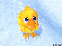 canard triste